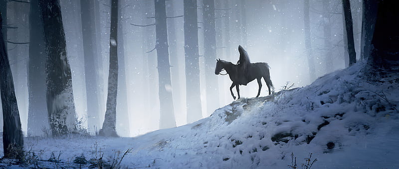 Man Horse Walking Through Woods , horse, forest, artist, artwork, digital-art, artstation, HD wallpaper