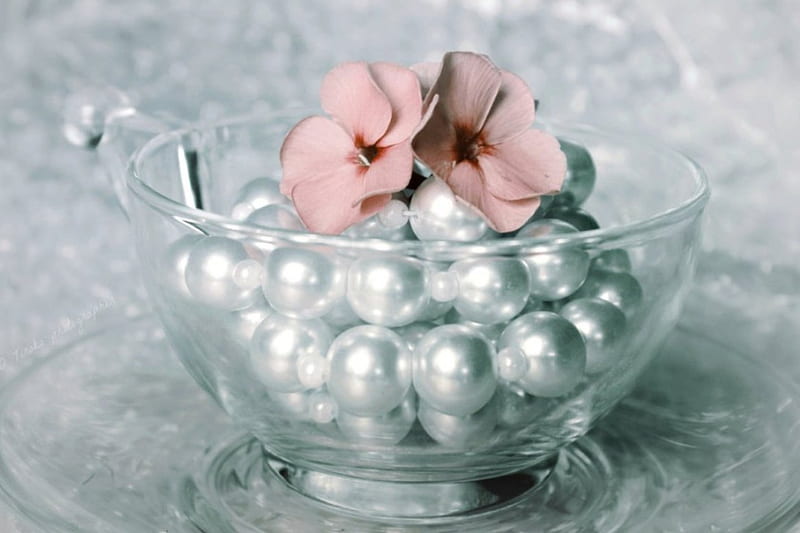 Pearlescent, flower, soft, pearls, pink, bowl, HD wallpaper