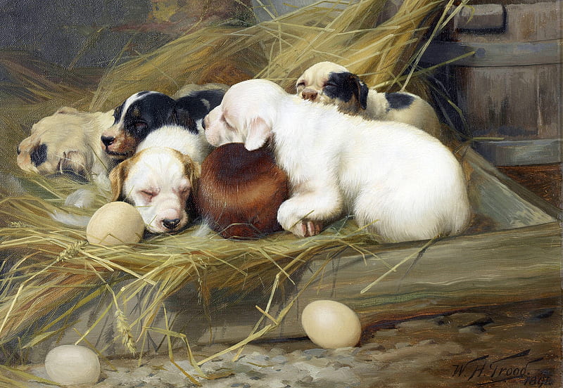 Sweet slumber, art, sleep, animal, w h trood, egg, cute, nest, painting, pictura, puppy, HD wallpaper