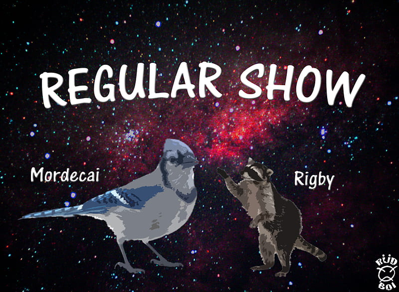 Regular Show, show, raccon, blue jay, rigby, regular, mordecai, HD wallpaper