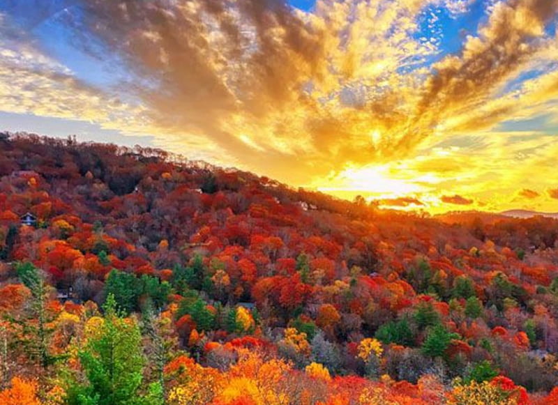 Fall Sunset in Highlands, North Carolina, forest, autumn, nature, sunset, trees, clouds, sky, HD wallpaper