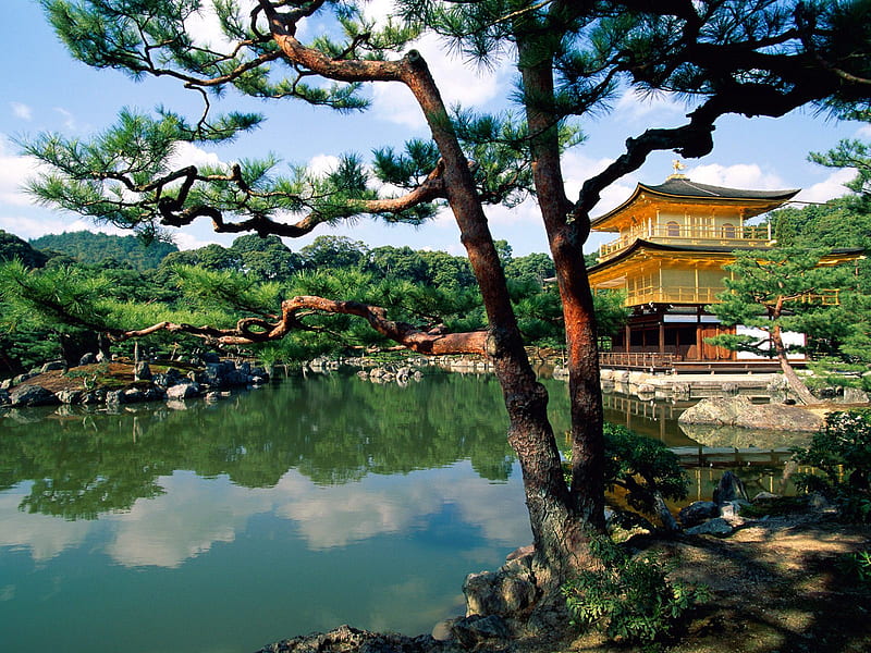 Japan - Kyoto - Kinkaku-ji Temple, japan, kyoto, kinkaku-ji temple, rokuon-ji, kita-ku, golden pavilion temple, HD wallpaper