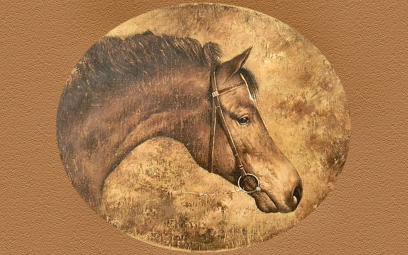Horse Head, art, equine, bonito, horse, illustration, artwork, animal, painting, wide screen, HD wallpaper