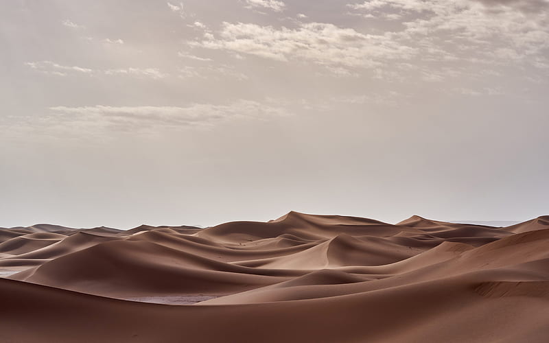 desert, dunes, sand, sunset, sand dunes, HD wallpaper