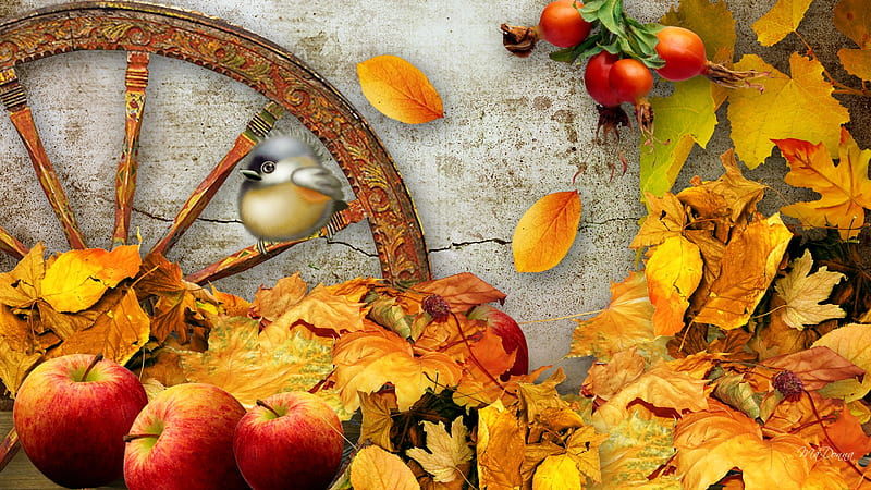 Apple Harvest Time, rustic, fall, autumn, harvest, apples, firefox persona, leaves, bird, berries, pumpkin, wheel, HD wallpaper