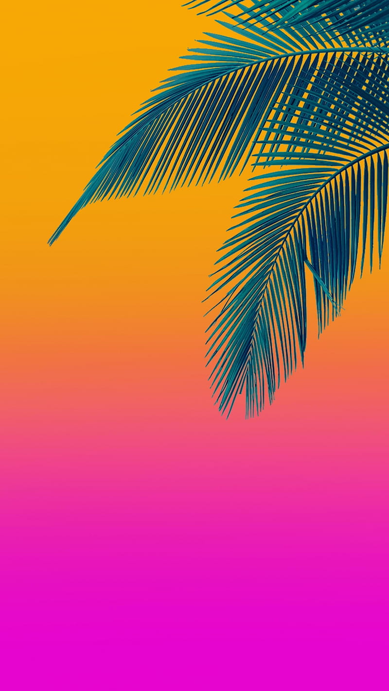 Palm, beauty, holiday, orange, pink, s7, s8, summer, HD phone wallpaper
