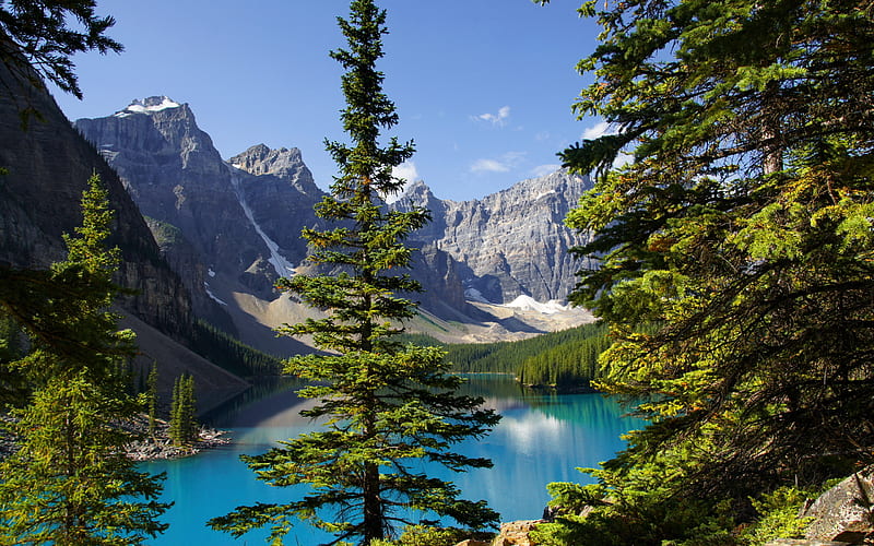 Moraine lake, Canada, summer, Banff National Park, mountains, Canadian Rockies, Alberta, forest, HD wallpaper
