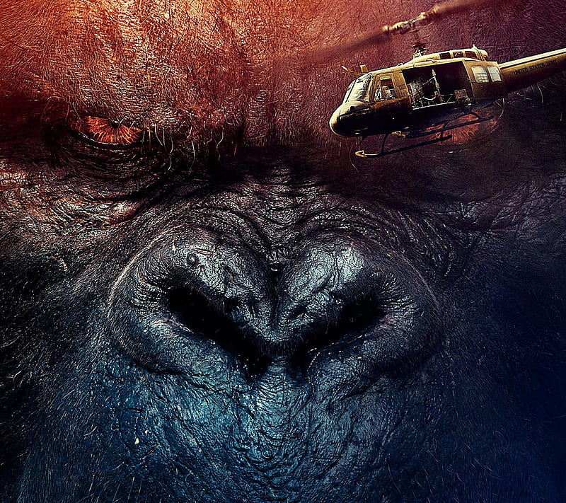 Kong, awesome, cool, film, island, nice, ok, skull, HD wallpaper