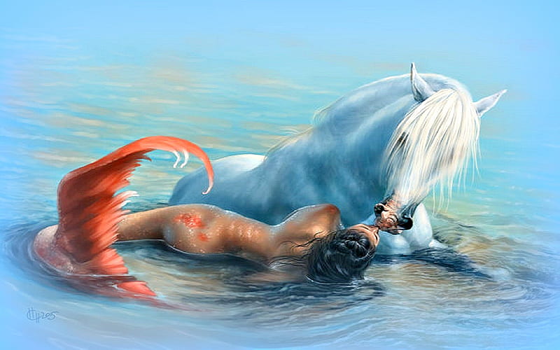 Mythical Creatures, fantasy, water, mermaid, horse, animal, HD wallpaper