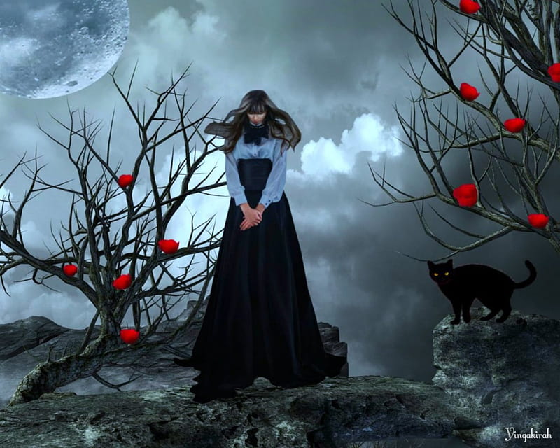 Gothic night, goth, tree, moon, cat, woman, night, HD wallpaper
