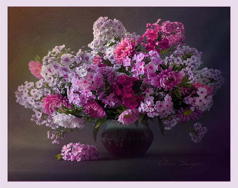 Phlox still life., flower, vase, still life, phlox, HD wallpaper