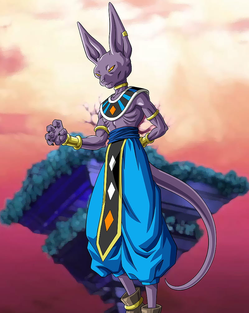 Beerus Transparent Anime Picture Freeuse Stock - Dragon Ball Beerus Png -  Free Transparent PNG Download - PNGkey