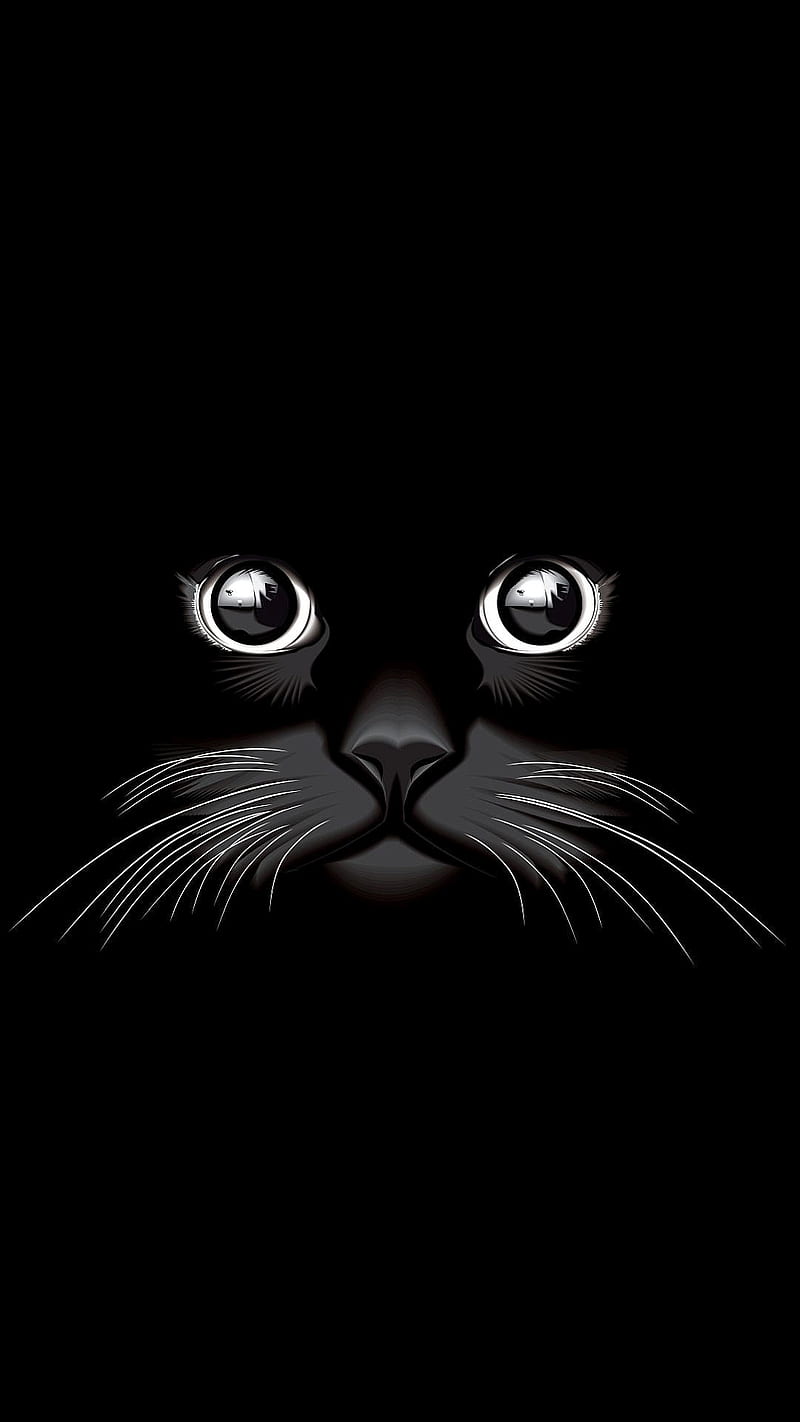 Cat Eyes, HD phone wallpaper