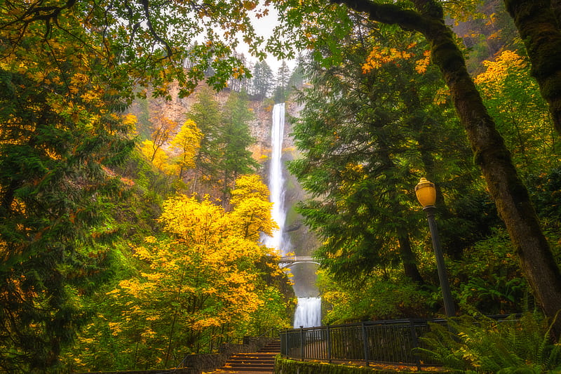 Waterfalls, Waterfall, Fall, Multnomah Falls, Oregon, Tree, HD wallpaper