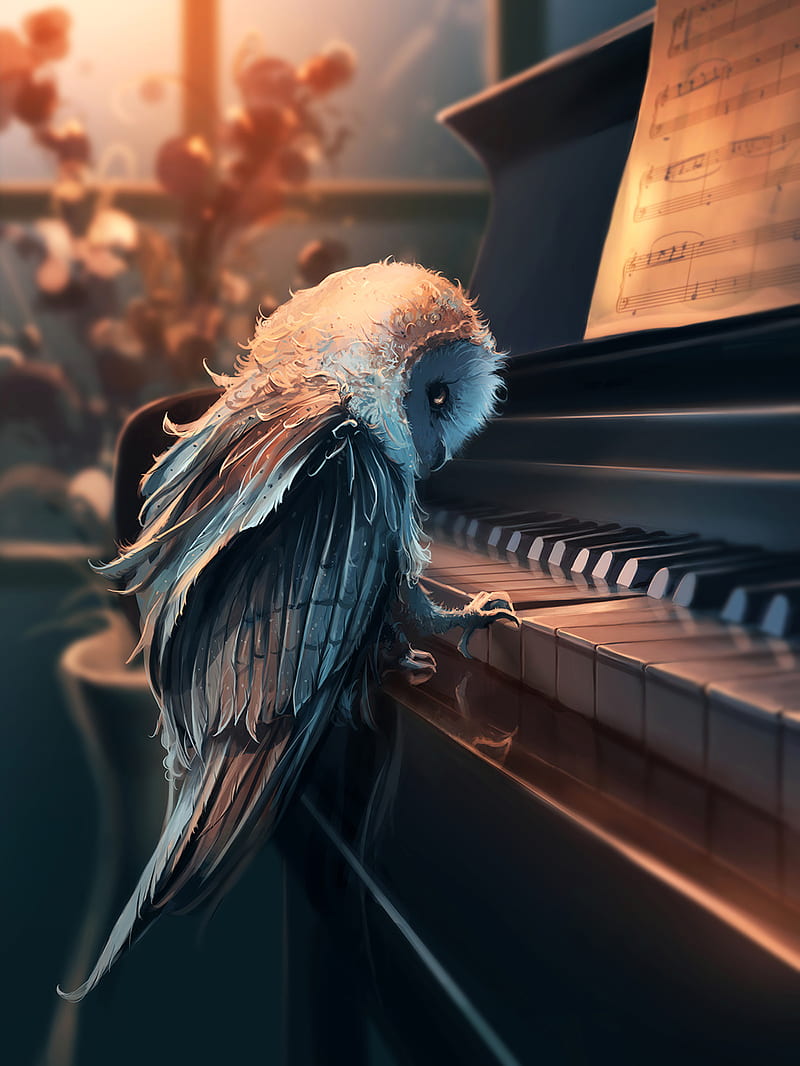 Owl Piano, bird, draw, HD phone wallpaper