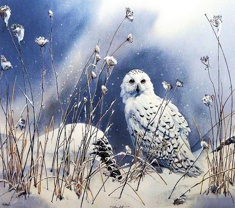 Snow Owl, owl, snow, HD wallpaper