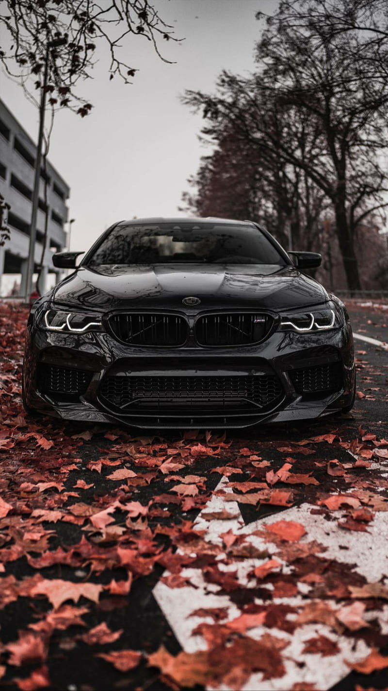 Stealth BMW M5, black, car, supercar, sports, america, new, 2019, HD phone wallpaper