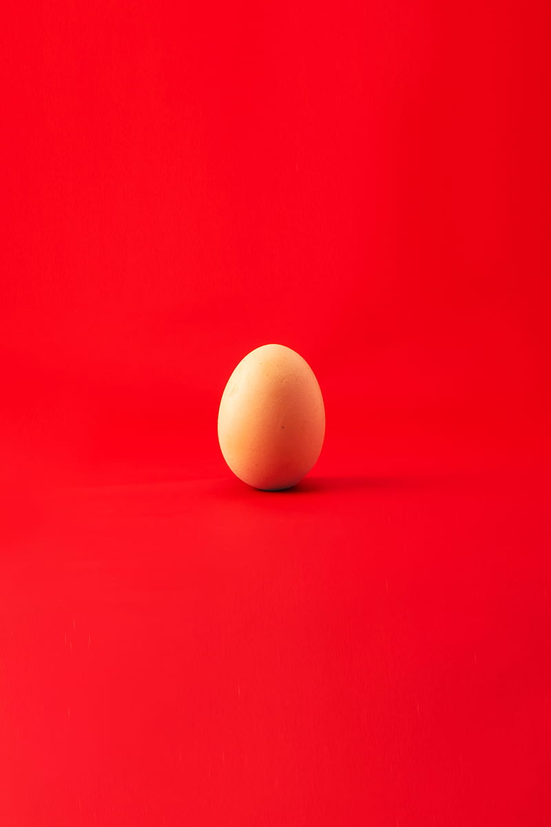 egg, chicken egg, red, minimalism, HD phone wallpaper