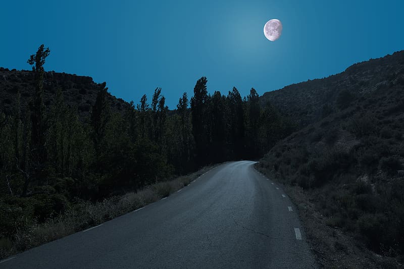 road, trees, moon, night, HD wallpaper road, trees, moon, night, HD wallpaper