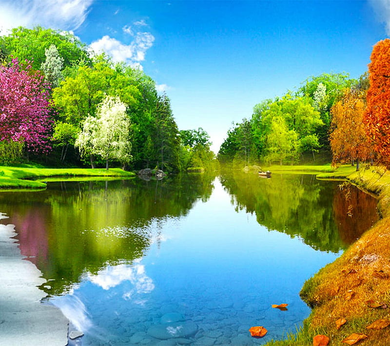 Sunny Day, trees, water, HD wallpaper