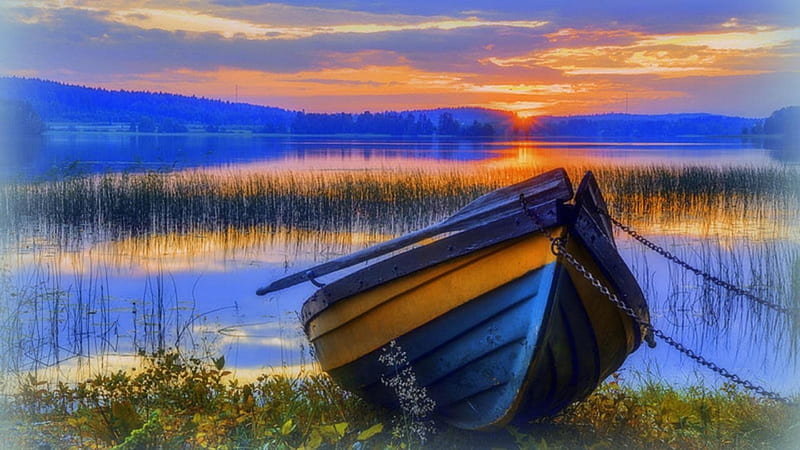 rowboat at sunset r, rowboat, shore, grass, r, sunset, lake, HD wallpaper