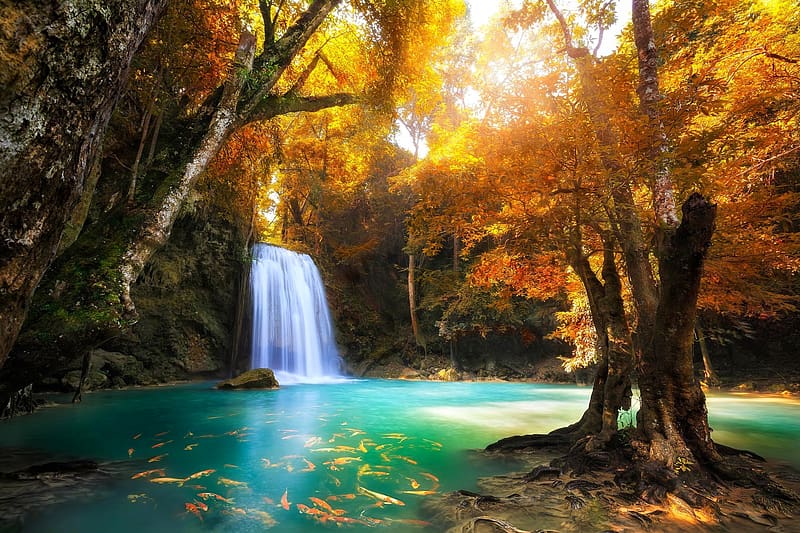 Nature, Waterfalls, Waterfall, Forest, Tree, Fall, , Pond, Tropical, Fish, Thailand, Erawan Waterfall, HD wallpaper