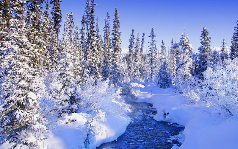 Winter Wonderland, scenic, creek, snow, winter, HD wallpaper
