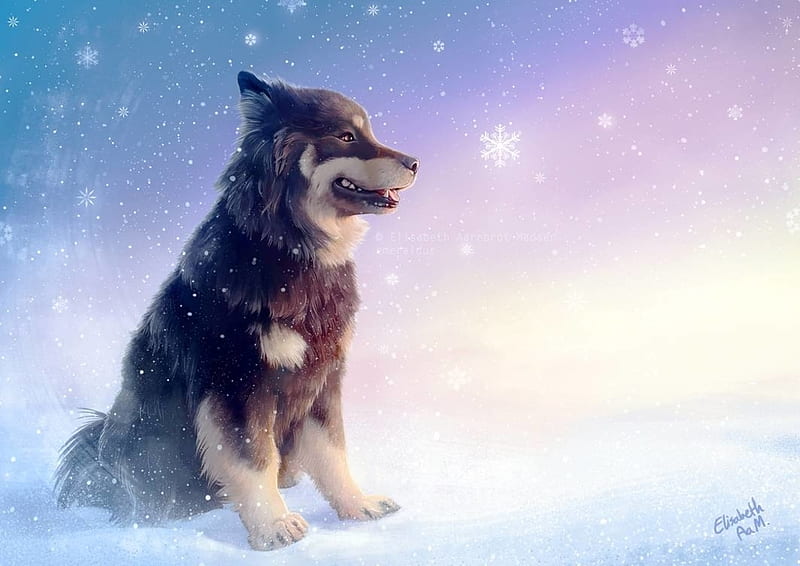 salir segmento Paleto Perro polar, fantasía, nieve, luminos, esmeralda, polar, perro, invierno,  iarna, Fondo de pantalla HD | Peakpx