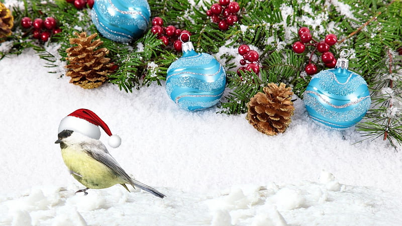Little Christmas Visitor, Christmas, holiday, cones, winter, pine, bird, snow, fir, holly berries, Christmas balls, HD wallpaper