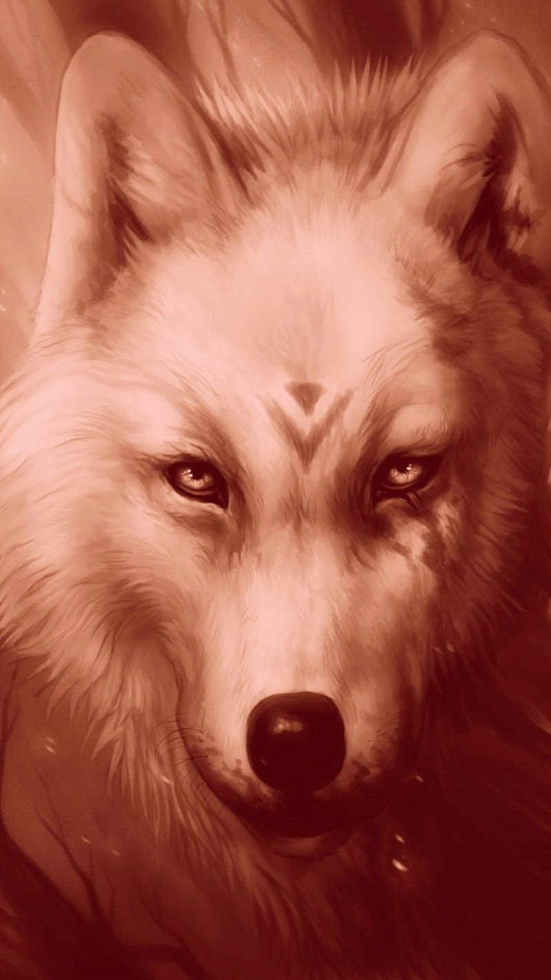 Fire wolf, red, HD phone wallpaper