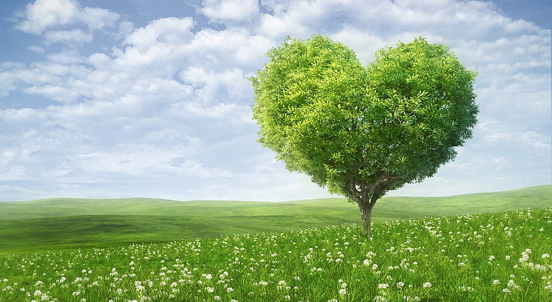 :), fantasy, tree, green, luminos, heart, valentine, creative, card, spring, HD wallpaper