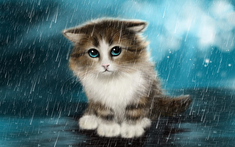 cat, kitten, rain, alone cat, cute animals, HD wallpaper