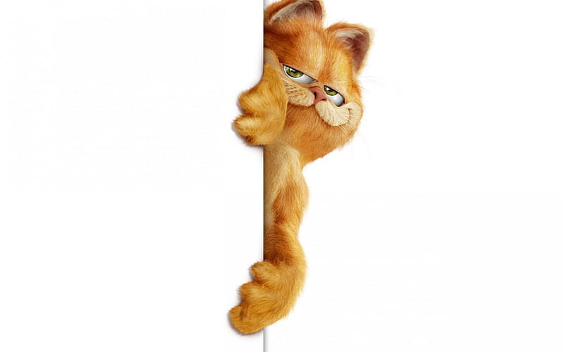 Garfield, movie, orange, funny, white, cat, HD wallpaper