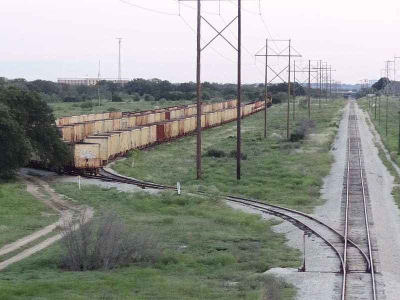 Railcars, train tracks, grass, tracks, HD wallpaper