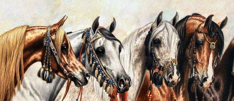 Five Arabian Horses F, art, equine, bonito, horse, artwork, animal, Arabian, painting, wide screen, HD wallpaper