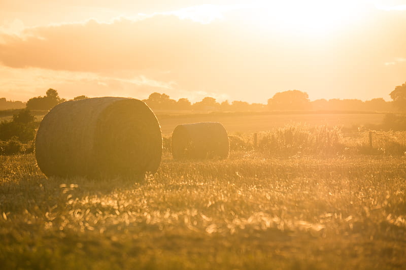 two rolled hay bales on grass field during golden hour, HD wallpaper
