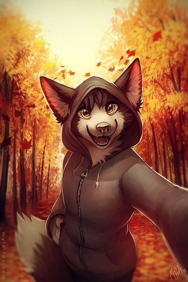 furry 7, art, cute, furry fandom, HD phone wallpaper