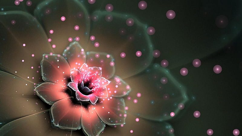 Beads Flower Fractal Abstraction Shine Abstract, HD wallpaper