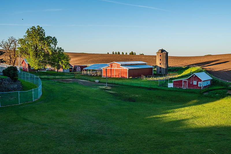 barn on green field, HD wallpaper