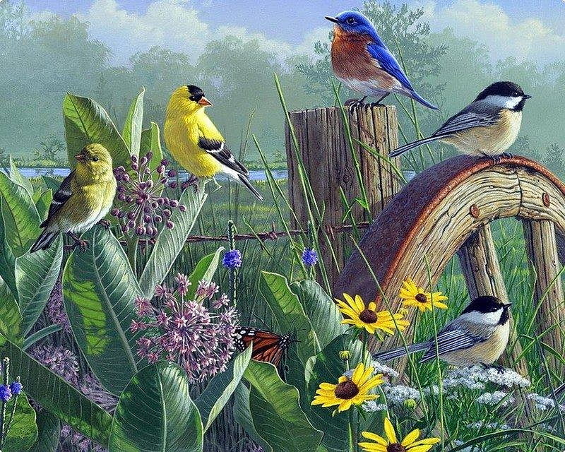 free download | Birds and flowers, vara, james hautman, bird, flower