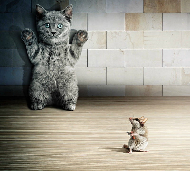 Hands in the air, and give me all your money, cute, mouse, fun, funny, cat, HD wallpaper