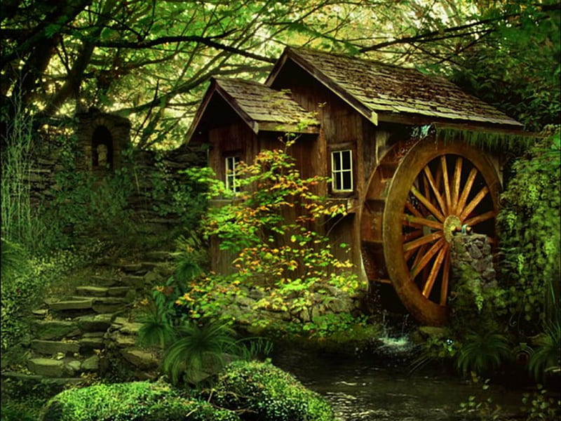 Forest Mill, watermill, stairs, nature, river, trees, HD wallpaper