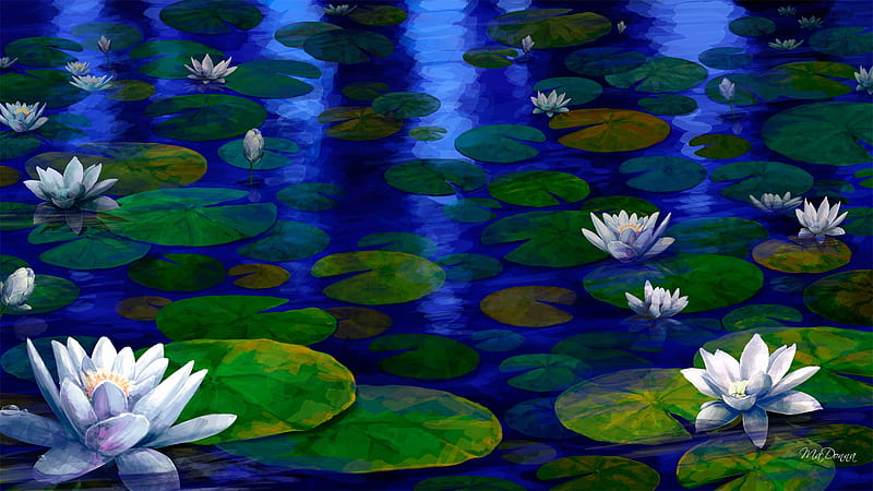 Evening Pond, lake, water lilies, pond, water, lily, moonlight, lilypads, blue, night, HD wallpaper