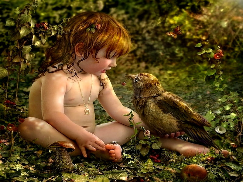 CARING HEART, kid, fruit, forest, gives, bird, love, hungry, care, HD wallpaper