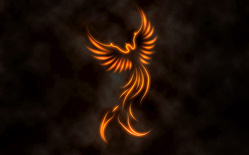 Fire Phoenix, fire, , bird, phoenix, desenho, HD wallpaper