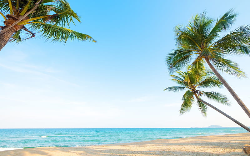 palm trees, tropical island, seascape, summer, sea, beach, sunset, evening, summer travel, HD wallpaper