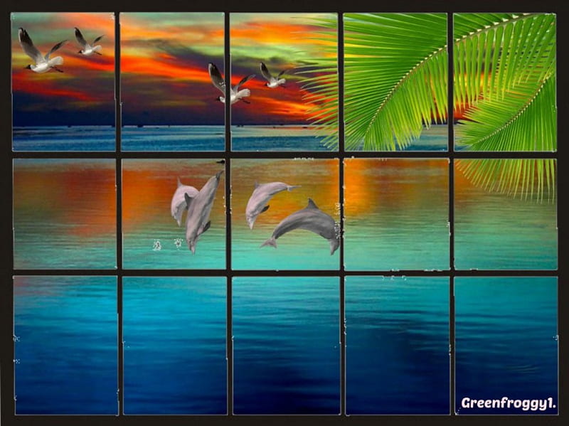 EVENING SUNSET OVER WATER, BIRDS, WINDOW, SUNSET, DOLPHINS, HD wallpaper