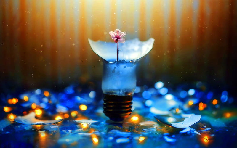 ..Dare to be Different.., pretty, broken bulb, dare to be different, conceptual, attractions in dreams, bonito, graphy, bokeh, flower arrangements, flowers, inner, blue, lovely still life, lovely, different, colors, love four seasons, creative pre-made, dare, broken glass, cool, HD wallpaper