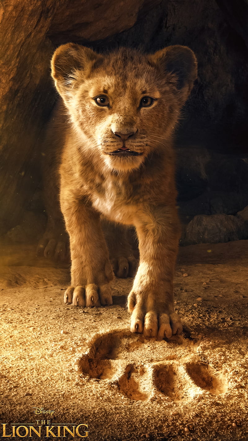 The Lion King 2019, disney, simba, HD phone wallpaper