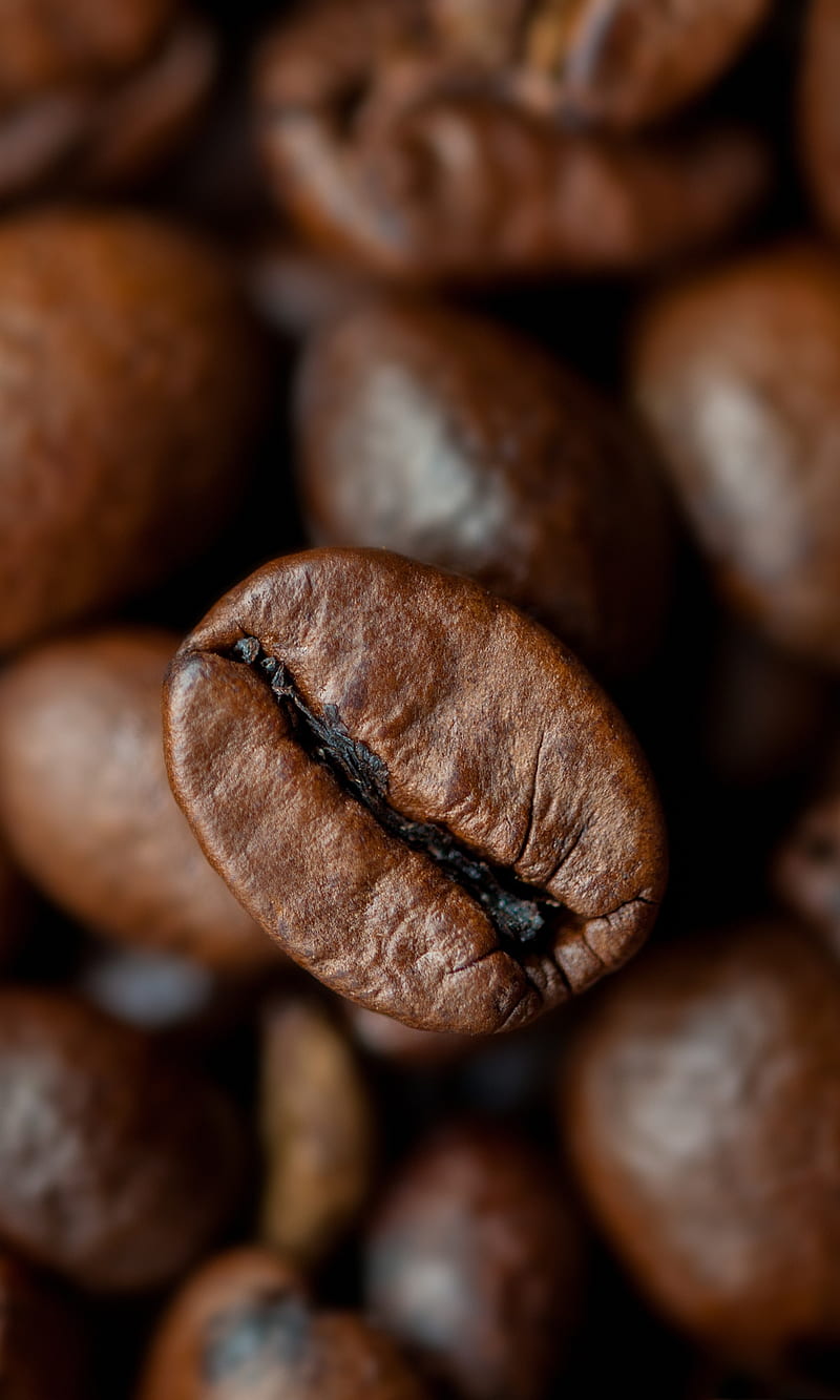coffee, beans, love, roasted, HD phone wallpaper